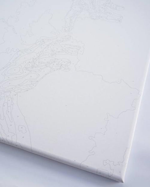 Malování podle čísel Nahá elegance (BS53921)