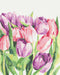 Malování podle čísel Ranní tulipány © Karolina Bundash (BS53939)