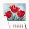 Malování podle čísel Červené tulipány © Anna Steshenko (BS53916)