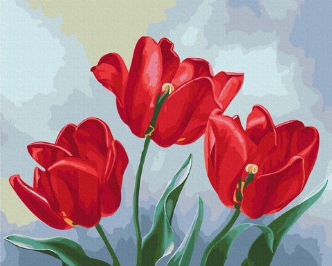 Malování podle čísel Červené tulipány © Anna Steshenko (BS53916)
