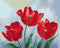 Malování podle čísel Červené tulipány © Anna Steshenko (BS53916)