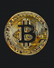 Malování podle čísel Bitcoin (BS53975)