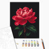 Malování podle čísel Pivoňky v záři rosy (BS54148)