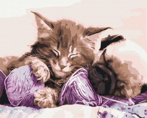 Malování podle čísel Babiččini mazlíčci (BS31170)