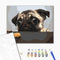 Malování podle čísel Mops (BS8765)