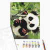 Malování podle čísel Hravá panda (BS51959)