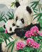 Malování podle čísel Máma panda s mládětem (BS51964)