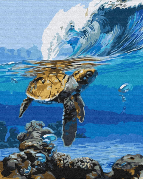 Malování podle čísel Čekání na surfaře (BS52175)