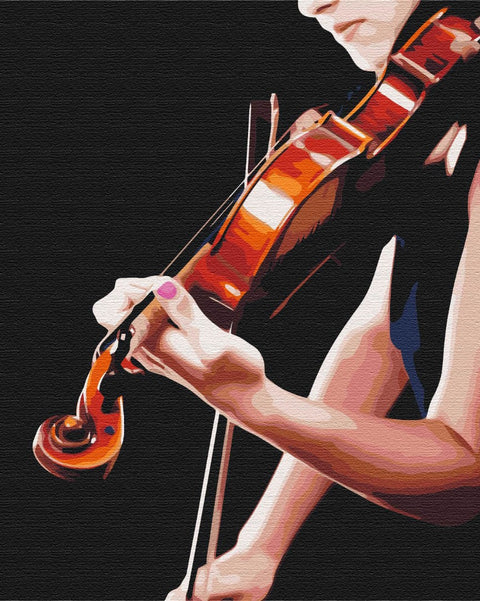 Malování podle čísel Zvuky harmonie (BS51758)