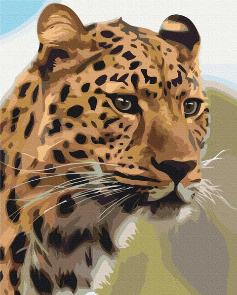 Malování podle čísel Skvrnitý leopard (BS52449)