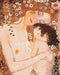Malování podle čísel Matka a dítě. Gustav Klimt (BS52248)