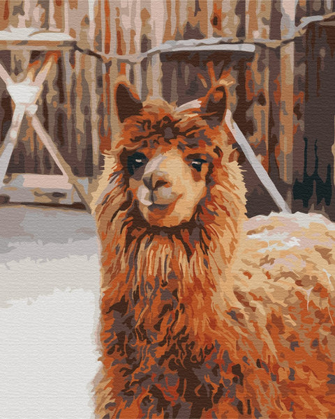 Malování podle čísel Lama na farmě (BS52266)