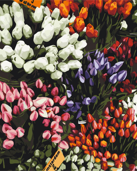 Malování podle čísel Tulipánový veletrh (BS52646)