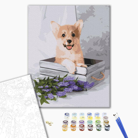 Malování podle čísel Hravý corgi (BS52653)