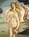 Malování podle čísel Zrození Venuše. Sandro Botticelli (BS52409)