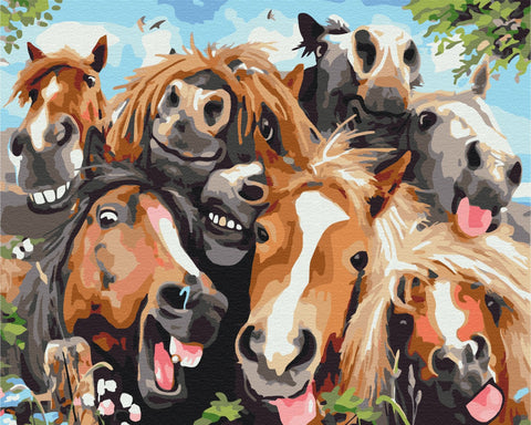 Malování podle čísel Koňské selfie (BS52662)