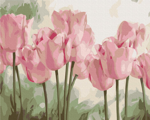 Malování podle čísel Jemné tulipány (BS53322)
