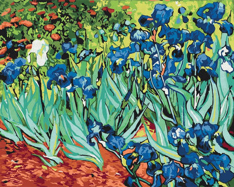 Malování podle čísel kosatce Van Gogh (RBS51339)