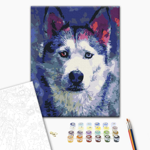 Malování podle čísel Vzhled huskyho (RBS51460)