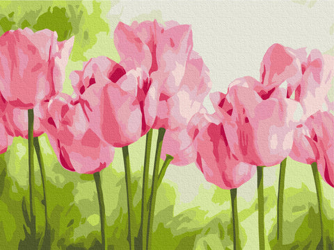Malování podle čísel Něžné tulipány (RBS31435)